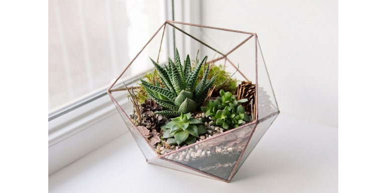 5 pasi pentru crearea unui terariu sticla handmade