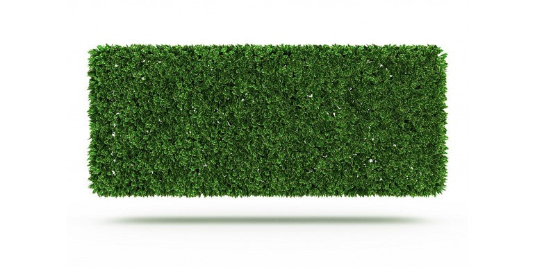 De ce sa amplasezi un gard viu artificial pe terasa sau balcon?