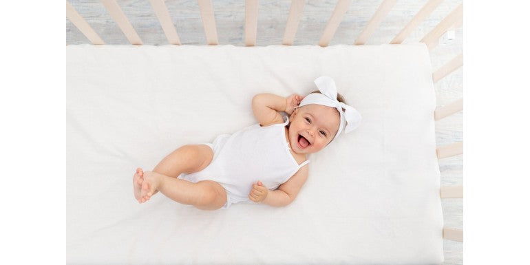 Se apropie tăierea motului? Află de la Figodecor ce se pe pune pe tava la mot