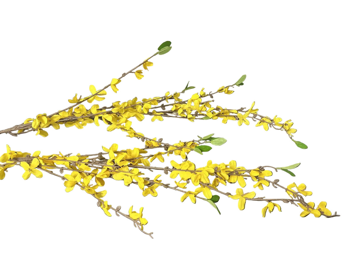 Forsitia artificiala