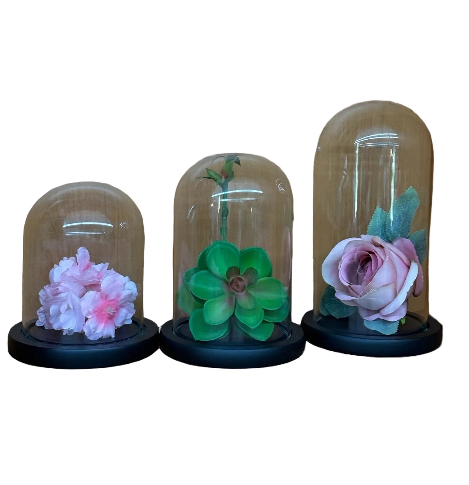 Vas de terariu din sticla