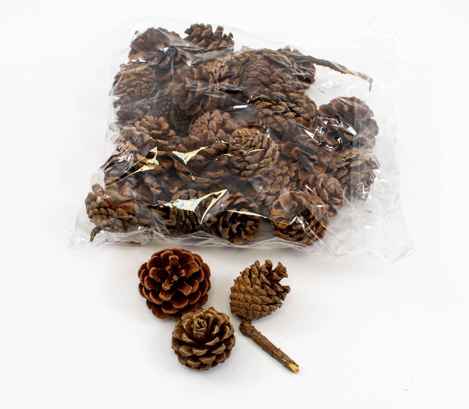 conuri-de-brad-mici-3-4cm