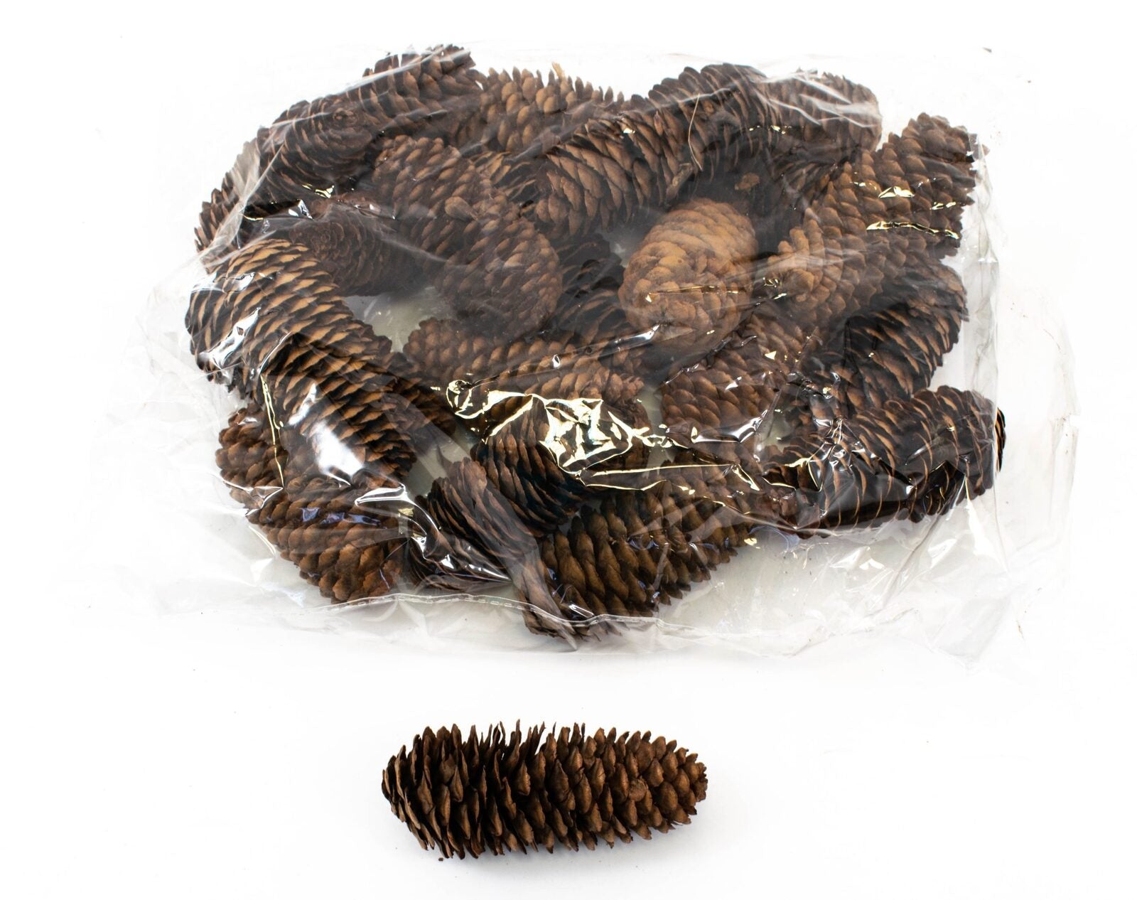 conuri-de-brad-lungi