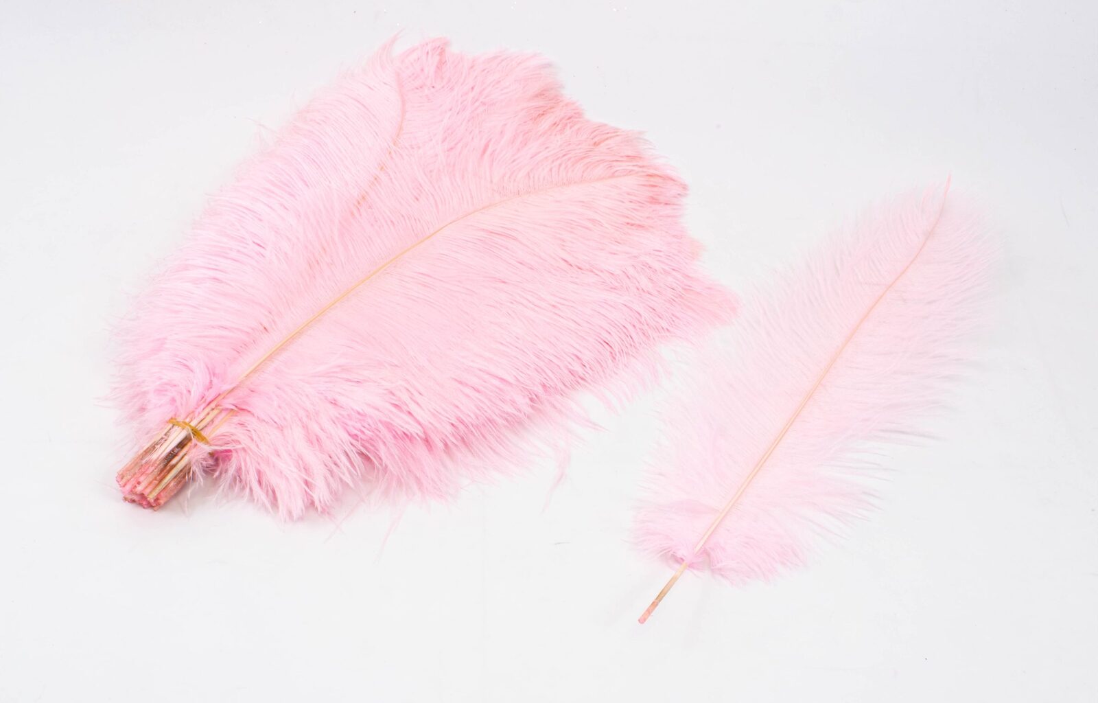 pene-de-strut-roz-40-45cm-10set