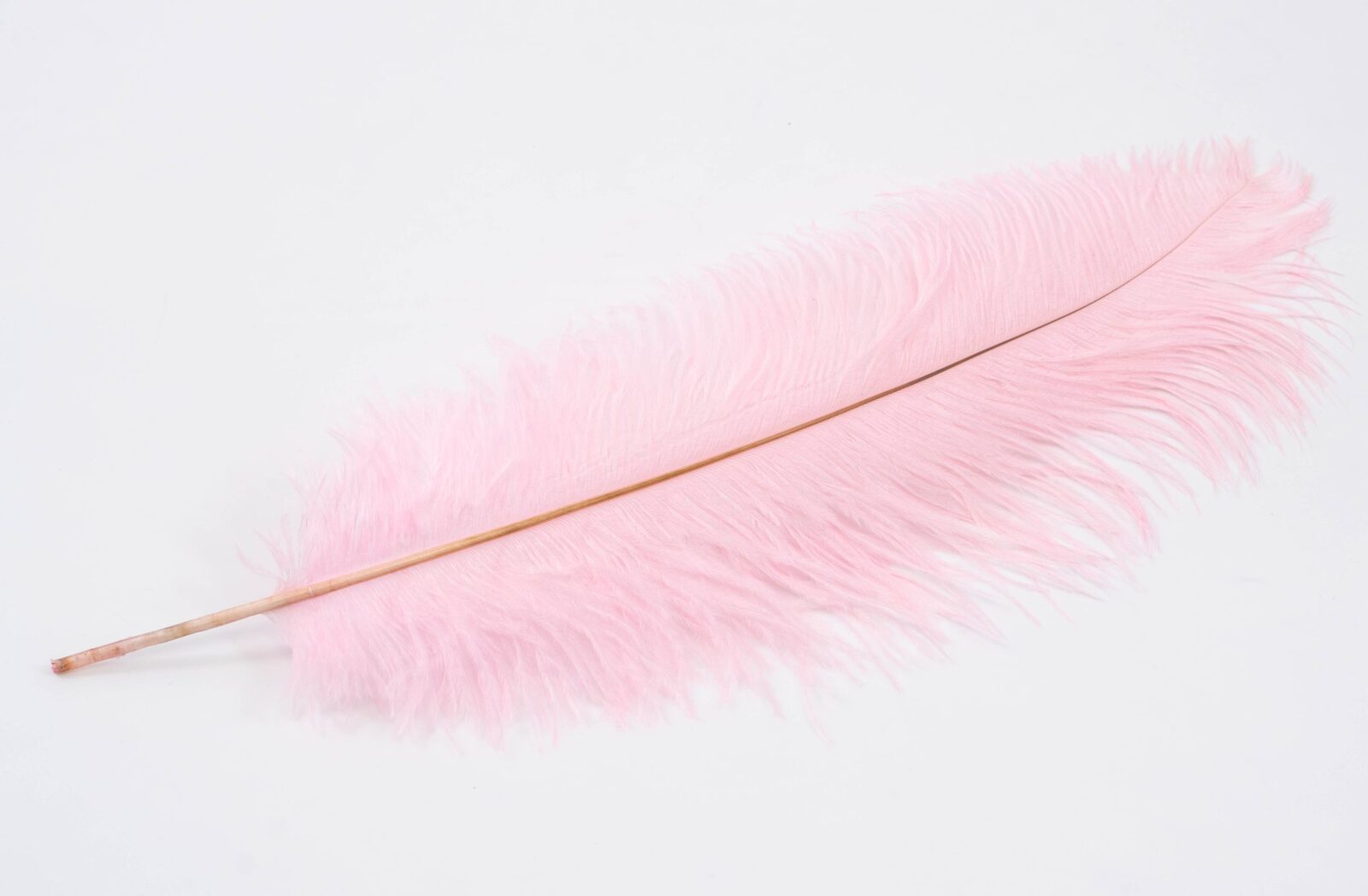 pene-de-strut-roz-40-45cm-10set