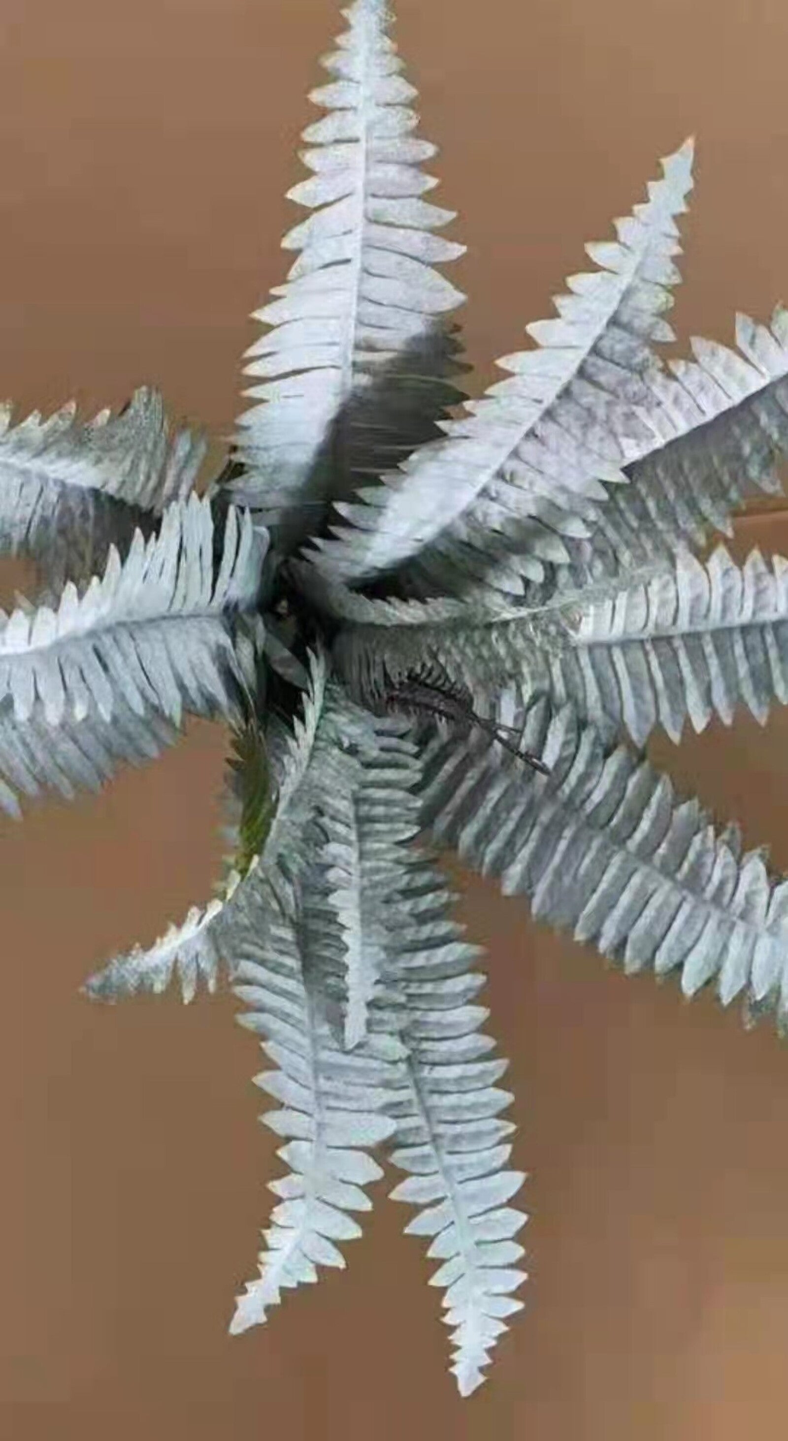 buchet-frunze-feriga-brumata