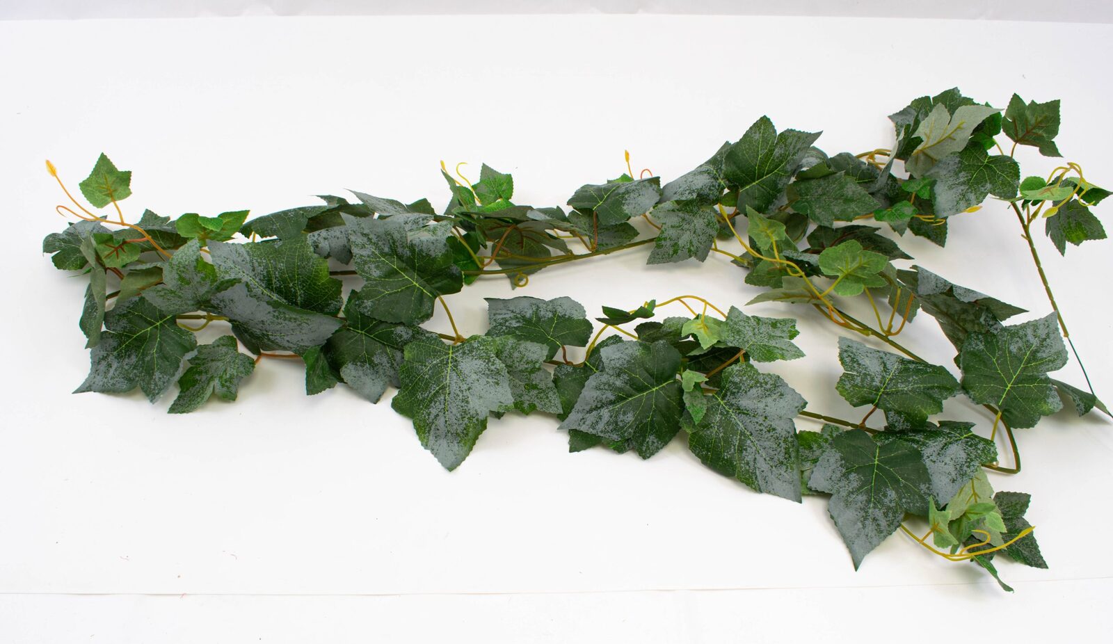 ghirlanda-iedera-brumata-2set