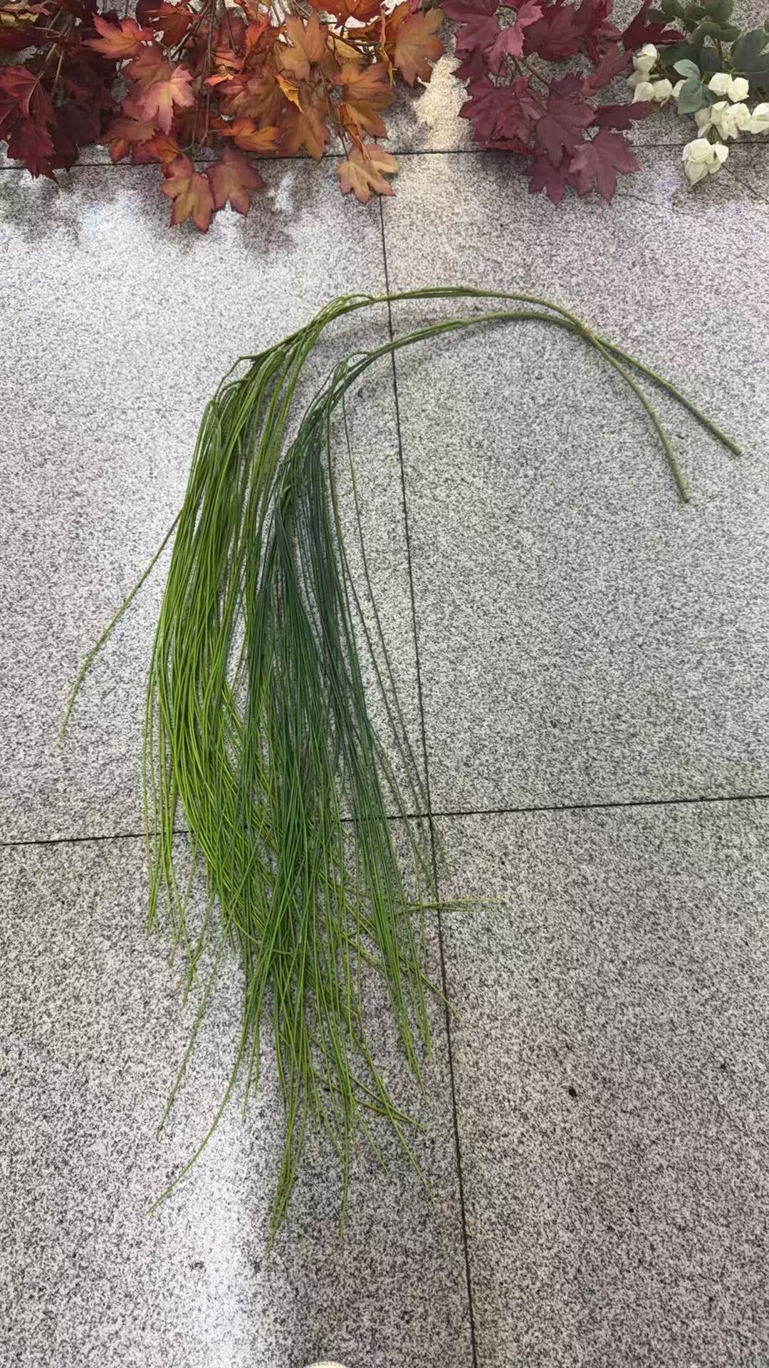 Iarba Curgatoare Decorativa