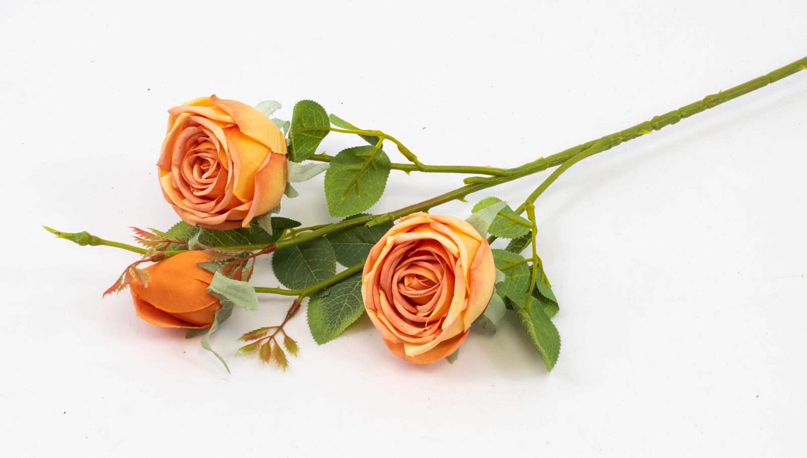 trandafir-fir-cu-3-flori