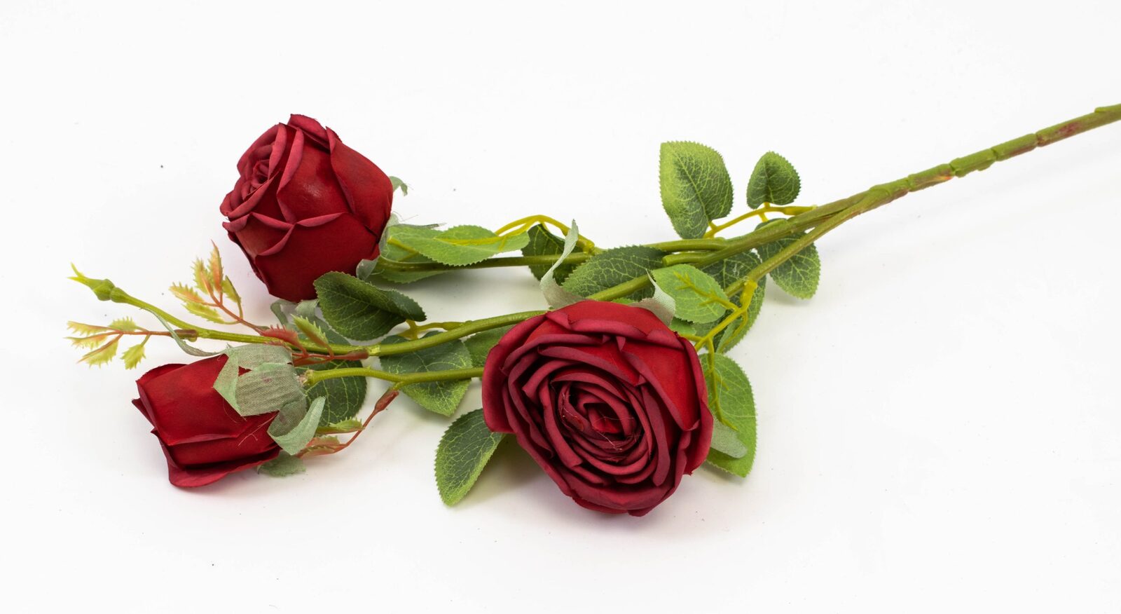 trandafir-fir-cu-3-flori