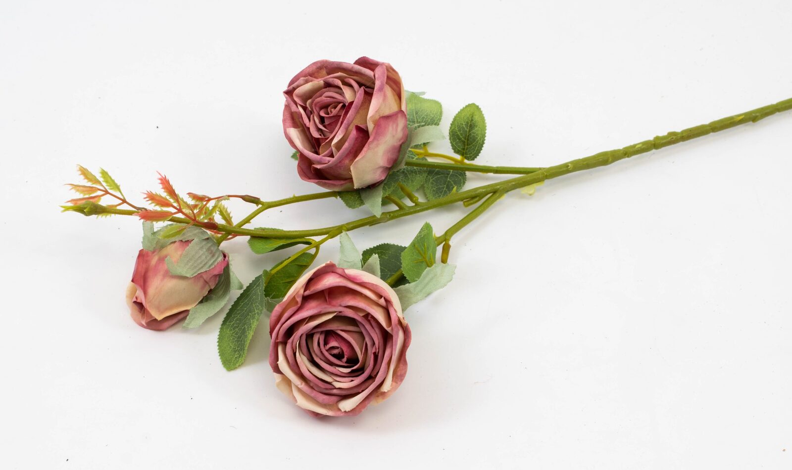 trandafir-fir-cu-3-flori