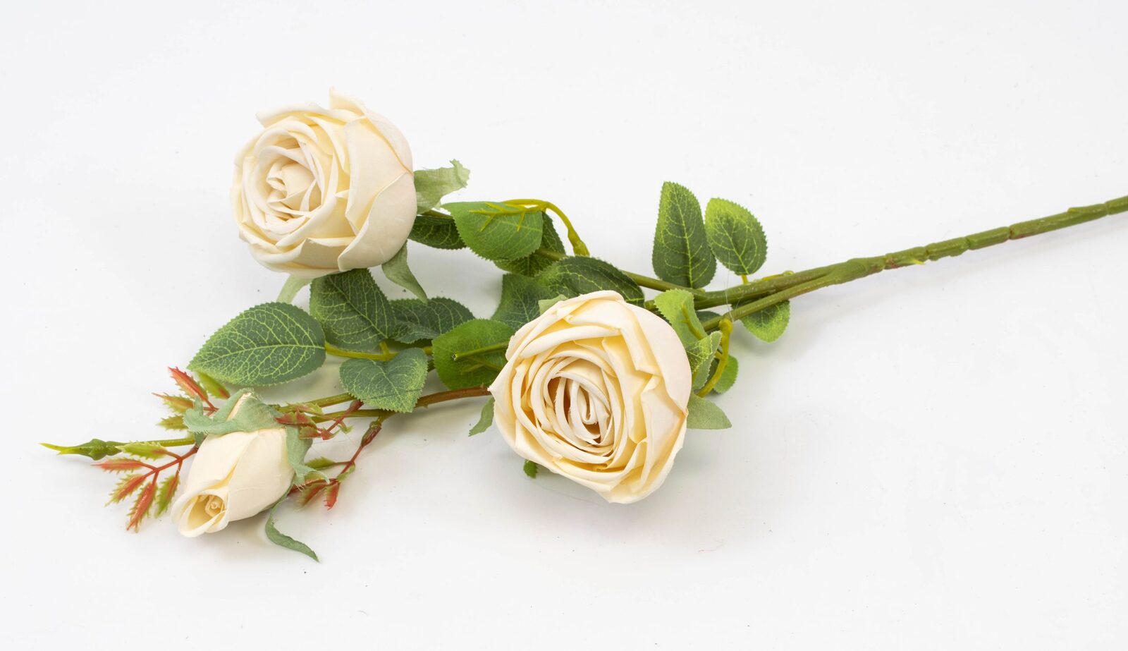 trandafir-fir-cu-3-flori