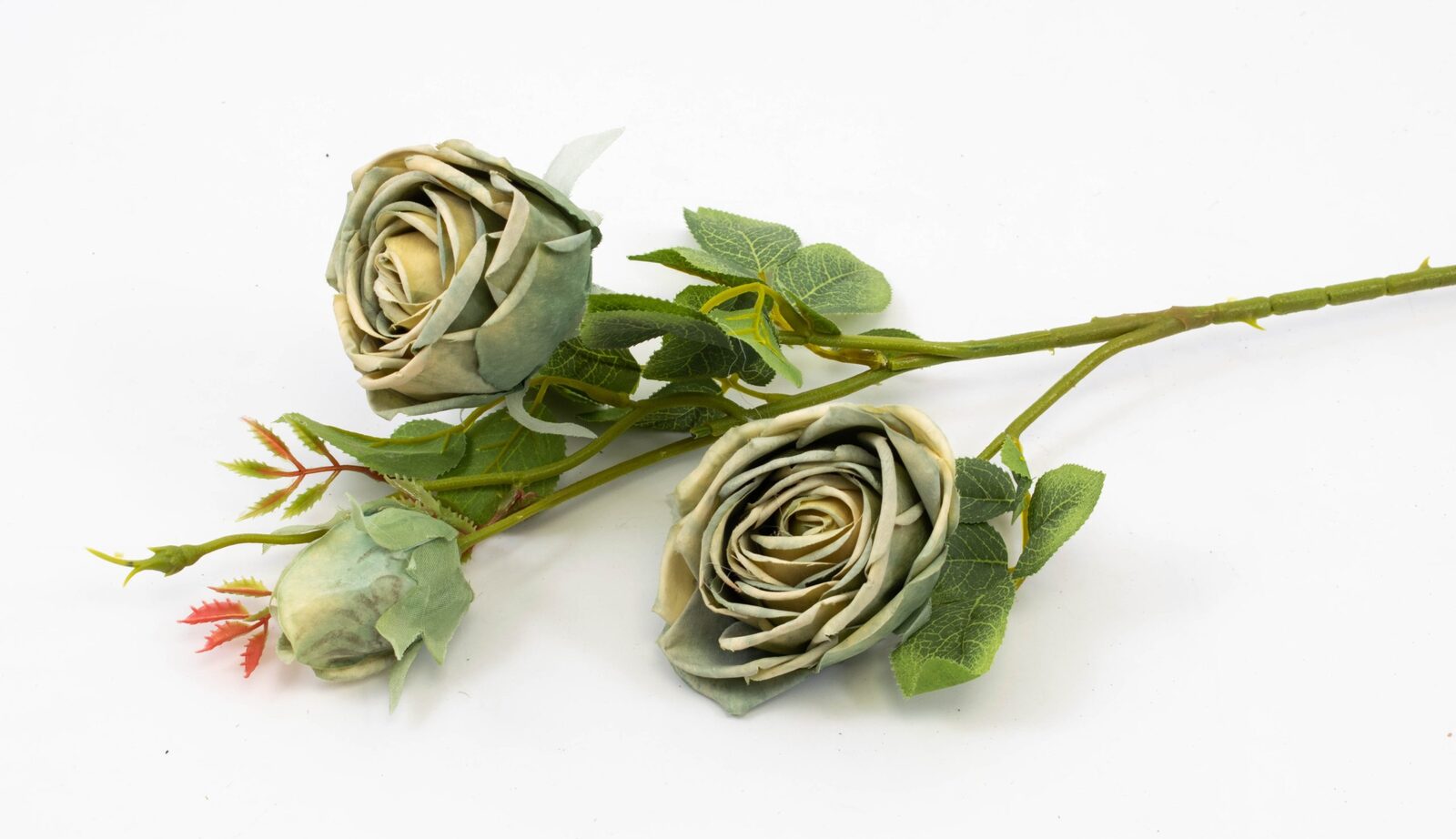 trandafir-fir-cu-3-flori