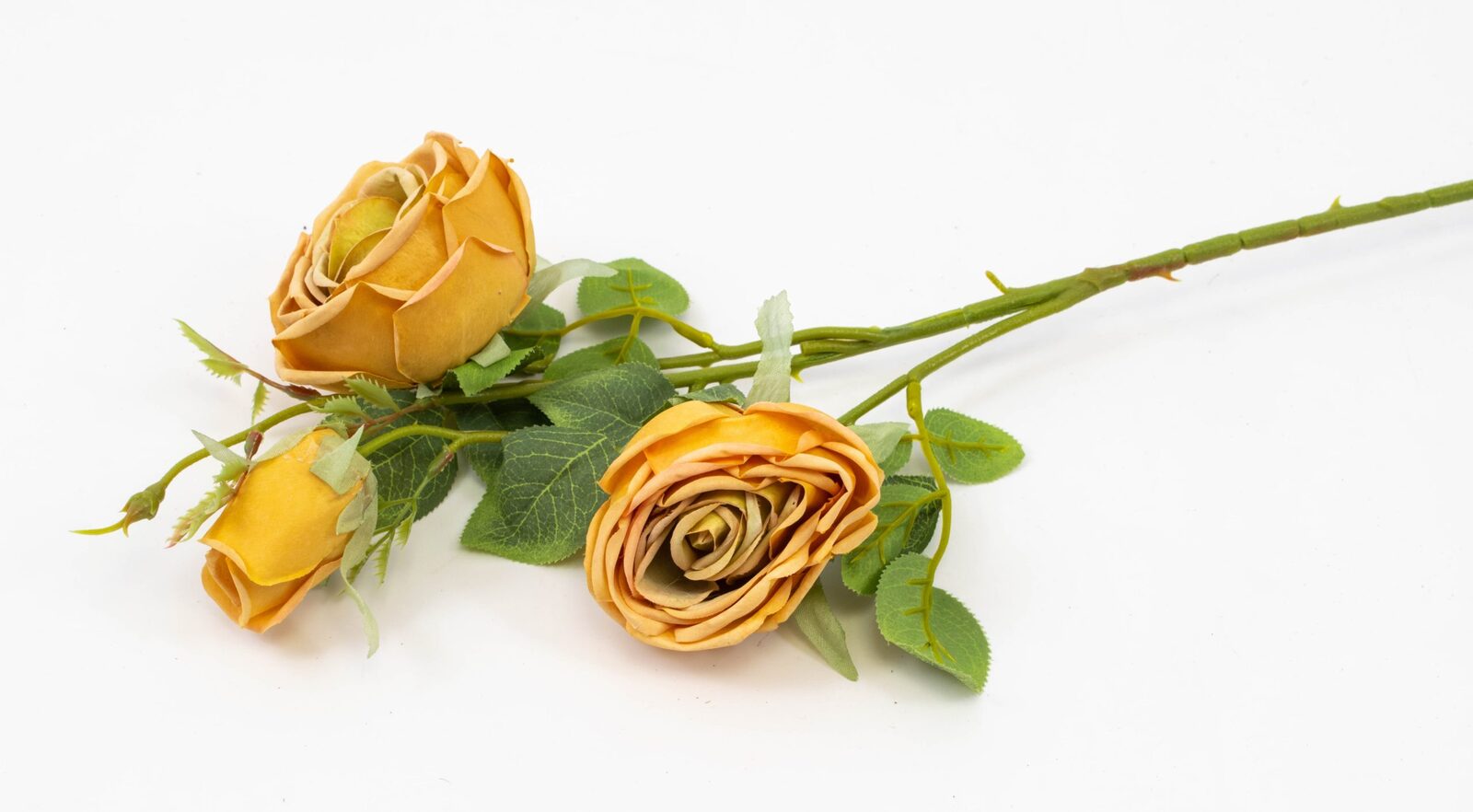 trandafir-fir-cu-3-flori