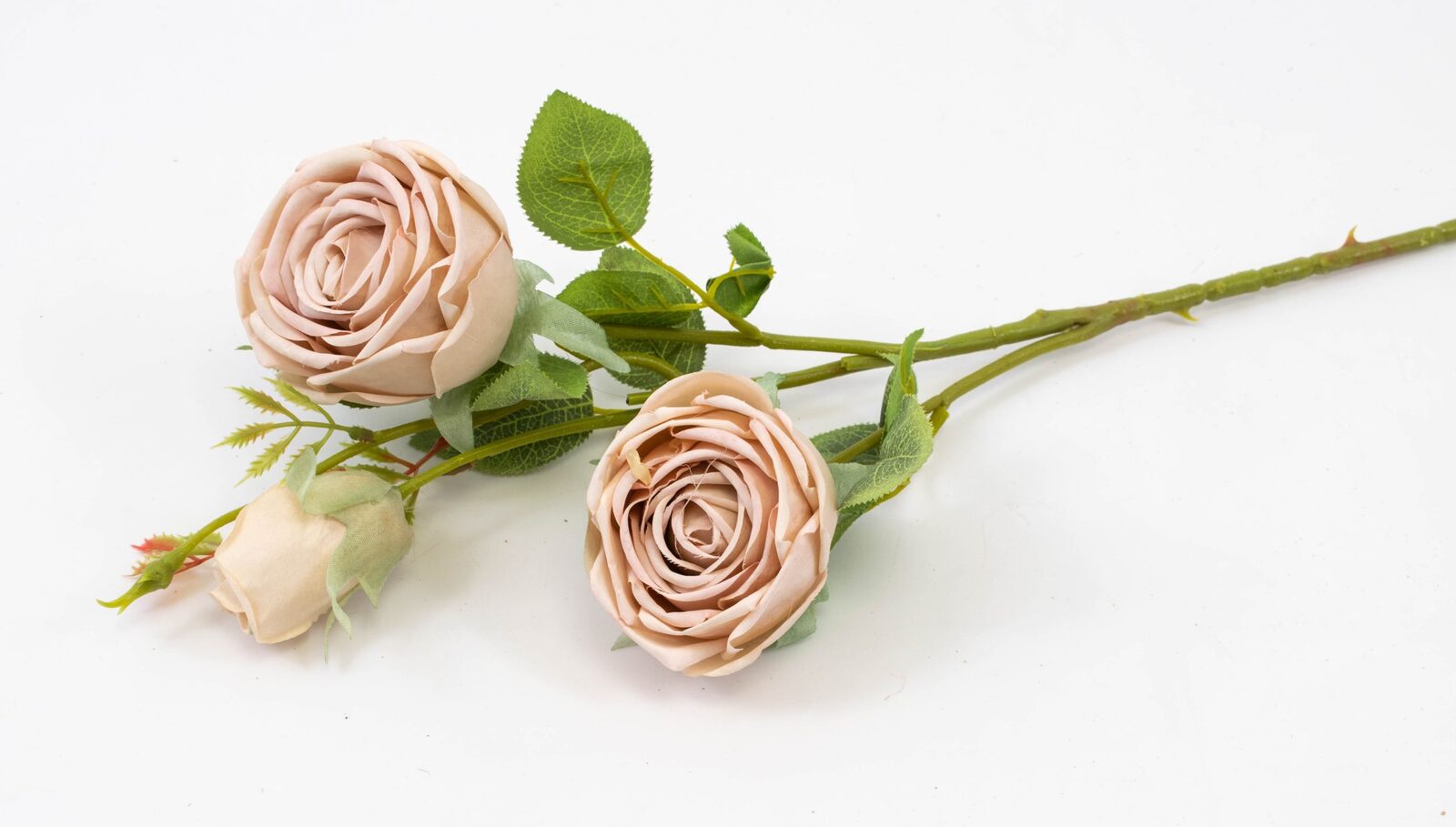 trandafir-fir-cu-3-flori