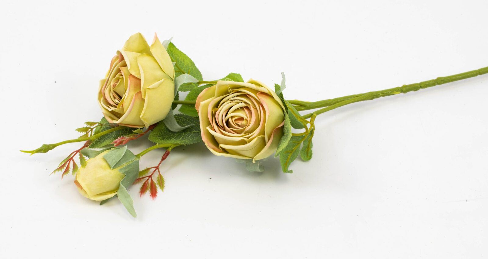 trandafir-fir-cu-3-flori