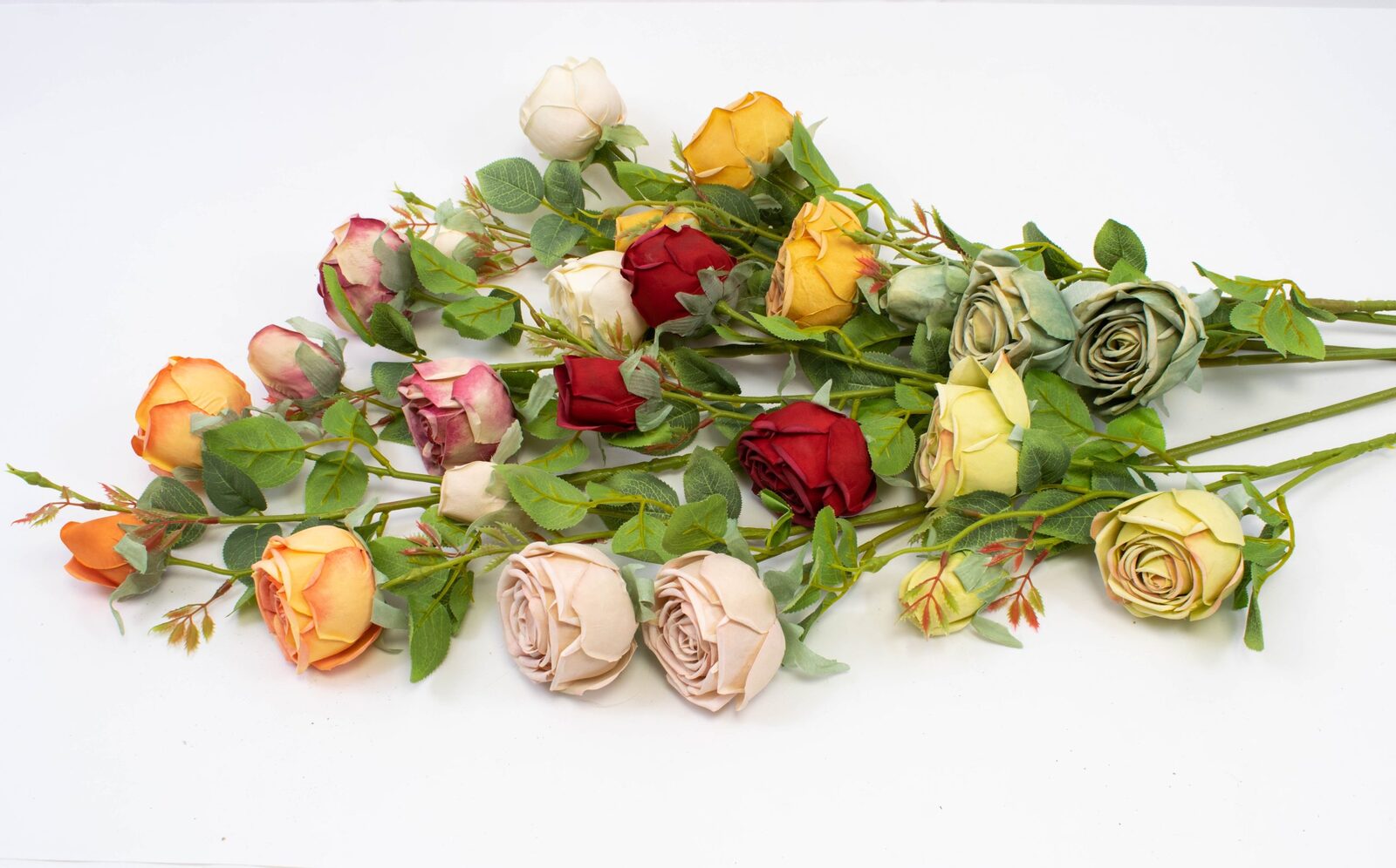 trandafir-fir-cu-3-flori