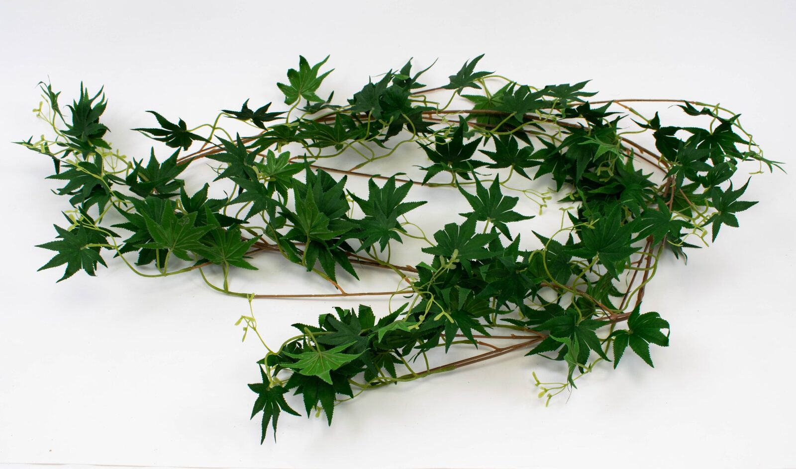 ghirlanda-frunze-canepa-2set