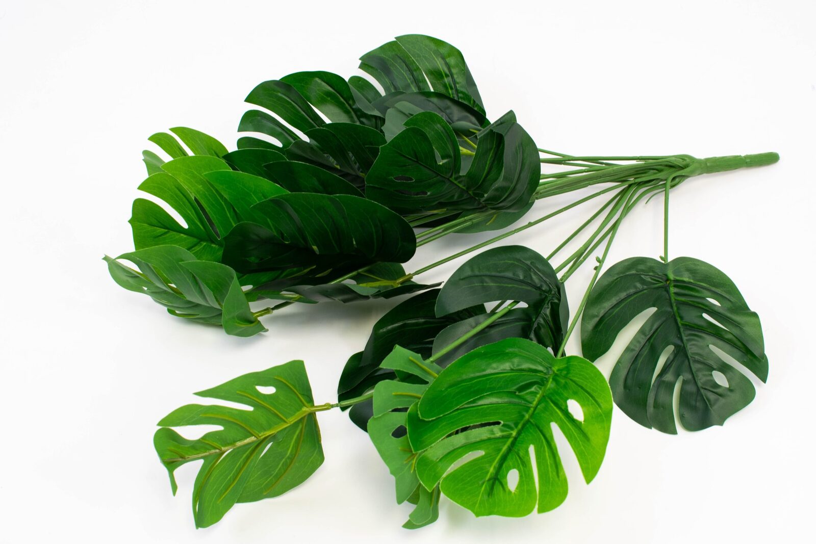 buchet-frunze-filodendron