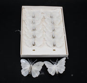 fluturi-pene-coada-rotunjita-puf-albi-12set