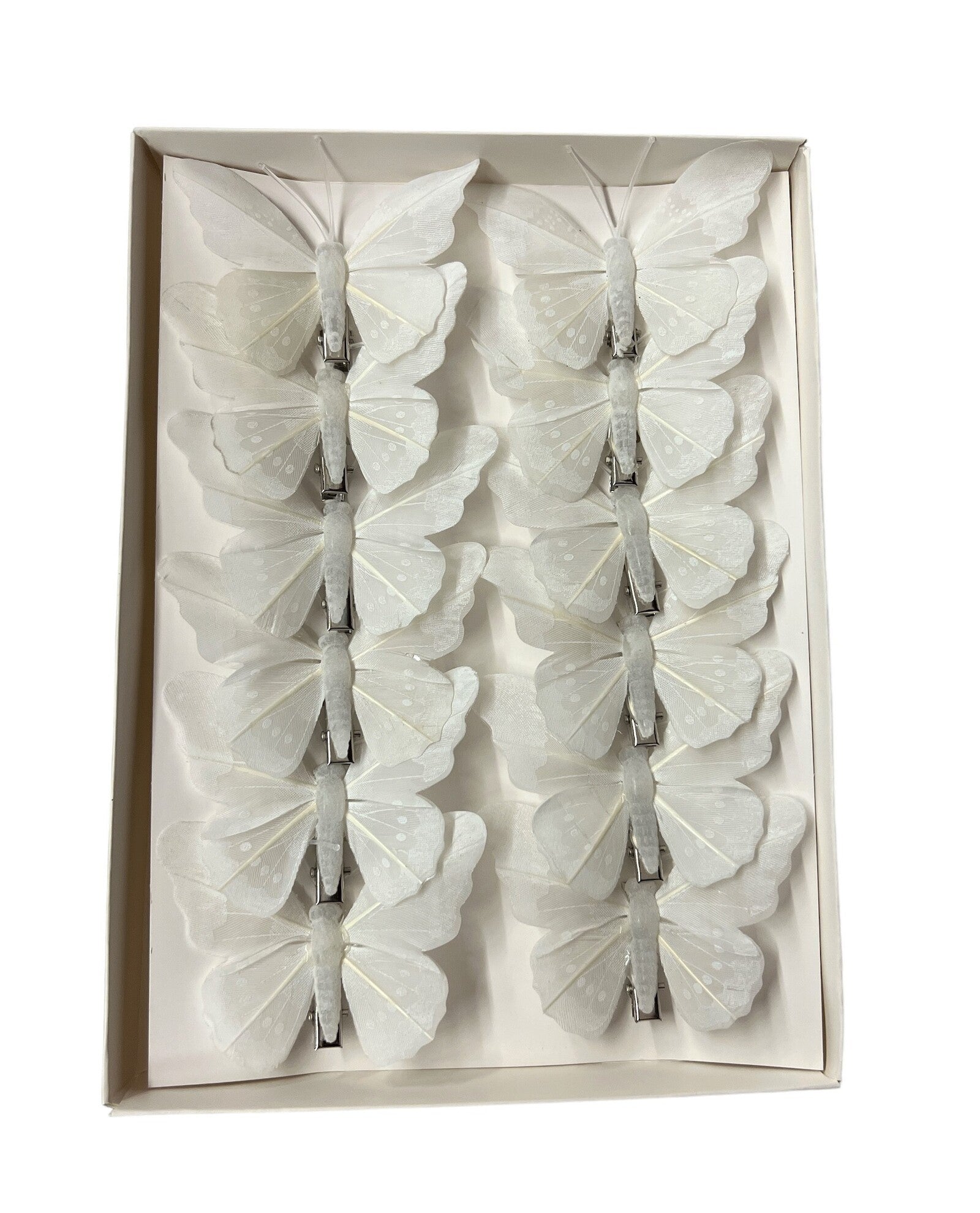 fluturi-pene-coada-rotunjita-cu-picatele-albi-12set