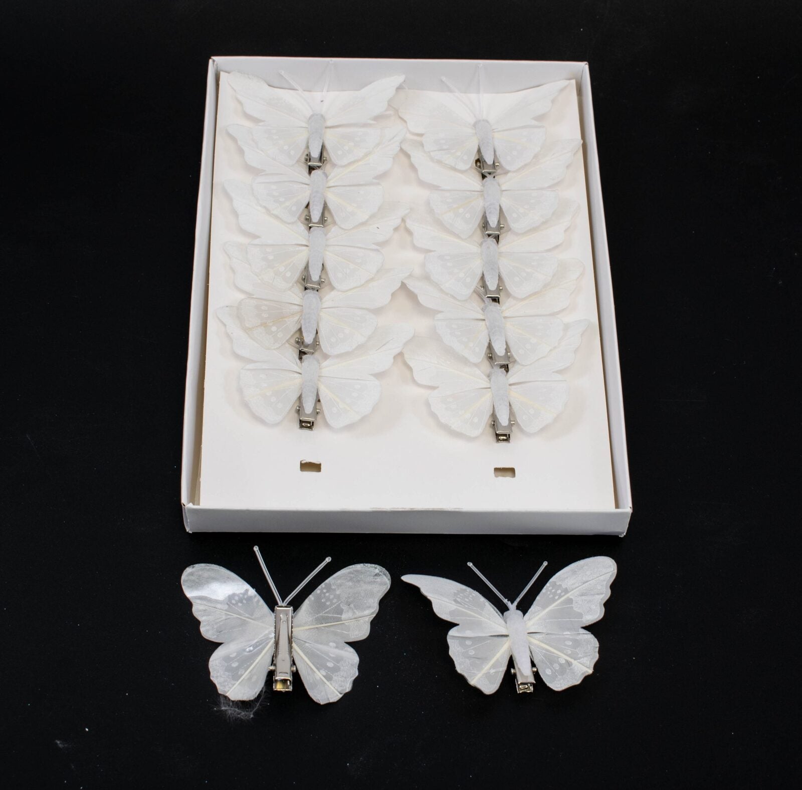 fluturi-pene-coada-rotunjita-cu-picatele-albi-12set