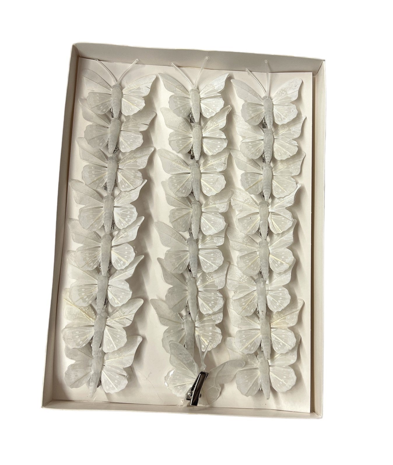 fluturi-pene-coada-rotunjita-picatele-albi-24set