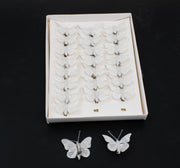 fluturi-pene-coada-rotunjita-picatele-albi-24set