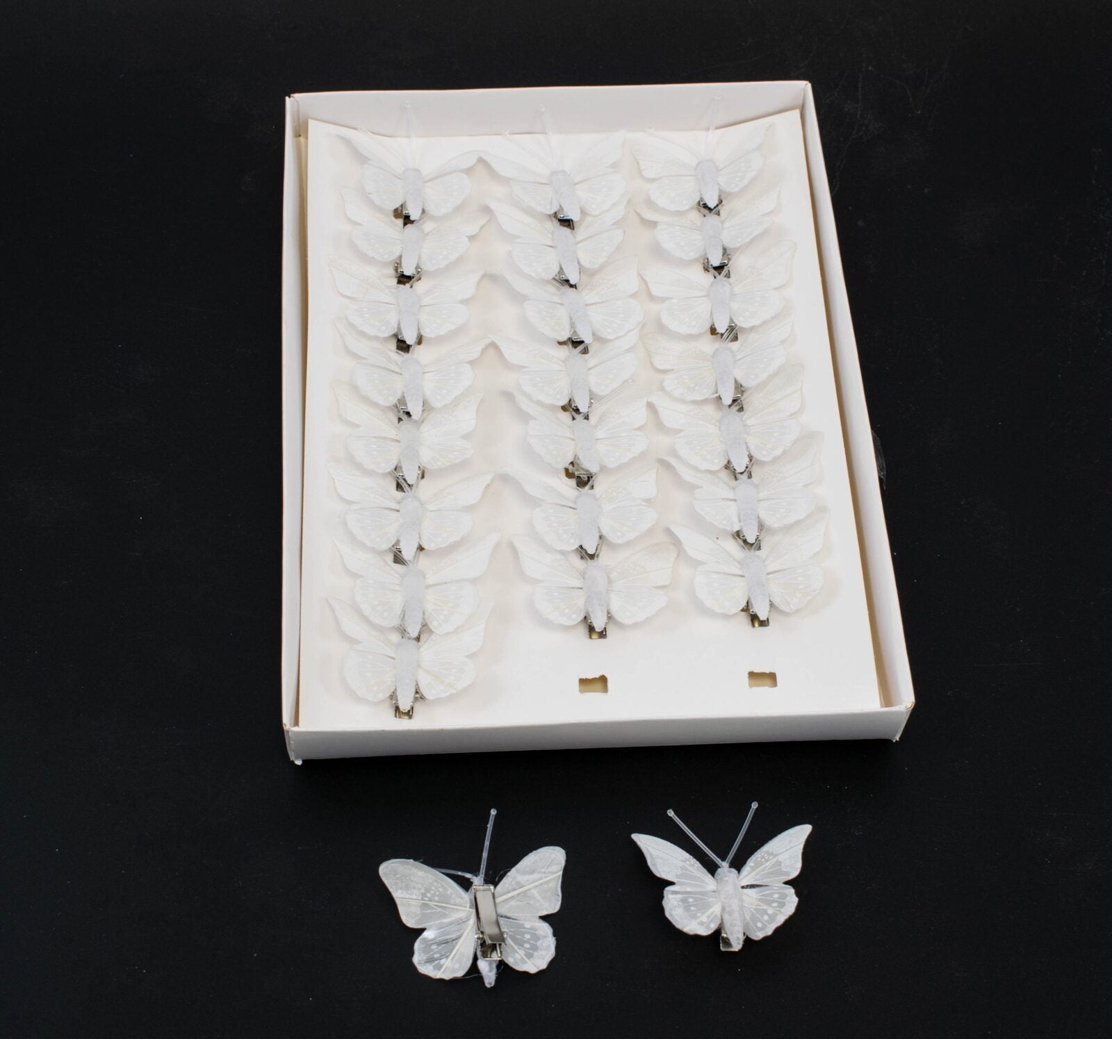 fluturi-pene-coada-rotunjita-picatele-albi-24set