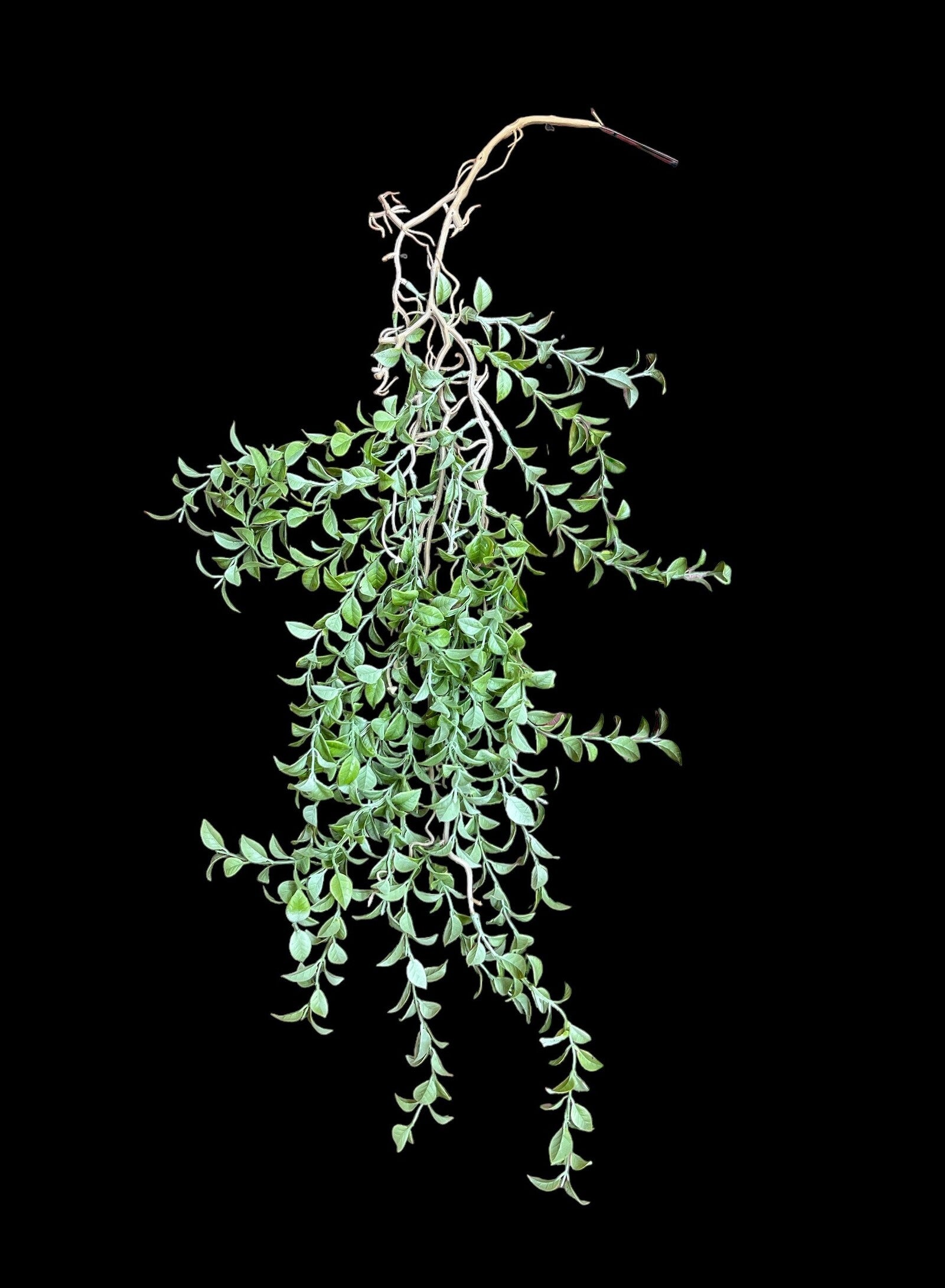 flori-artificiale-frunze-mici-curgatoare-102cm-2-set