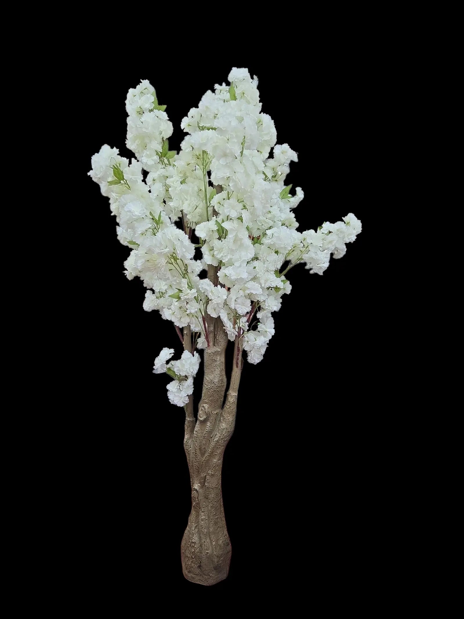 IMG_6226007583964491327 (1)