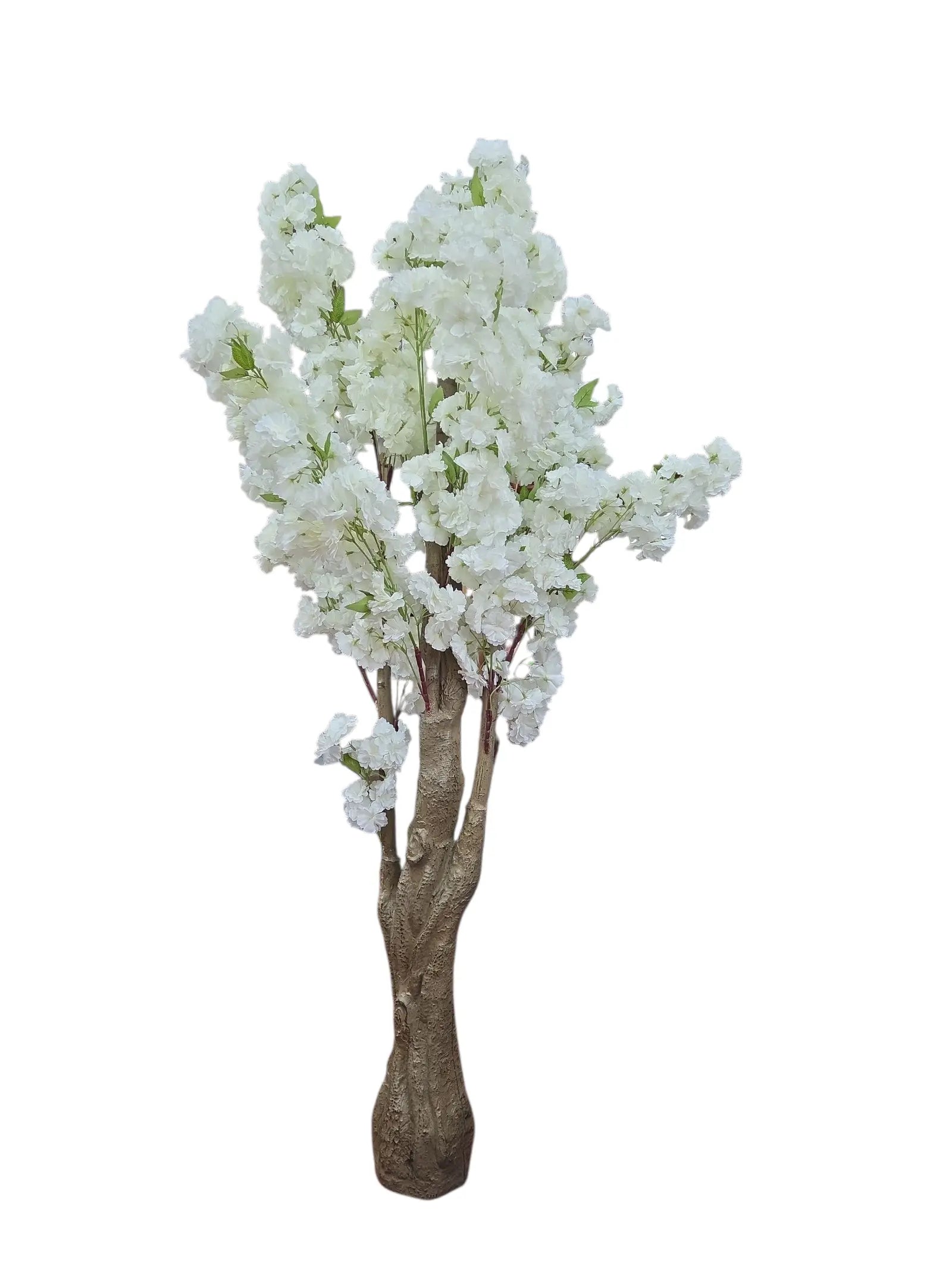 IMG_6226007583964491327