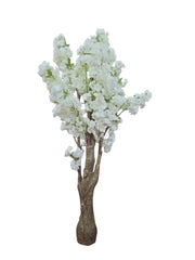 IMG_6226007583964491327