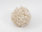 sfera-frunze-artificiale-bucsus-18cm-alb