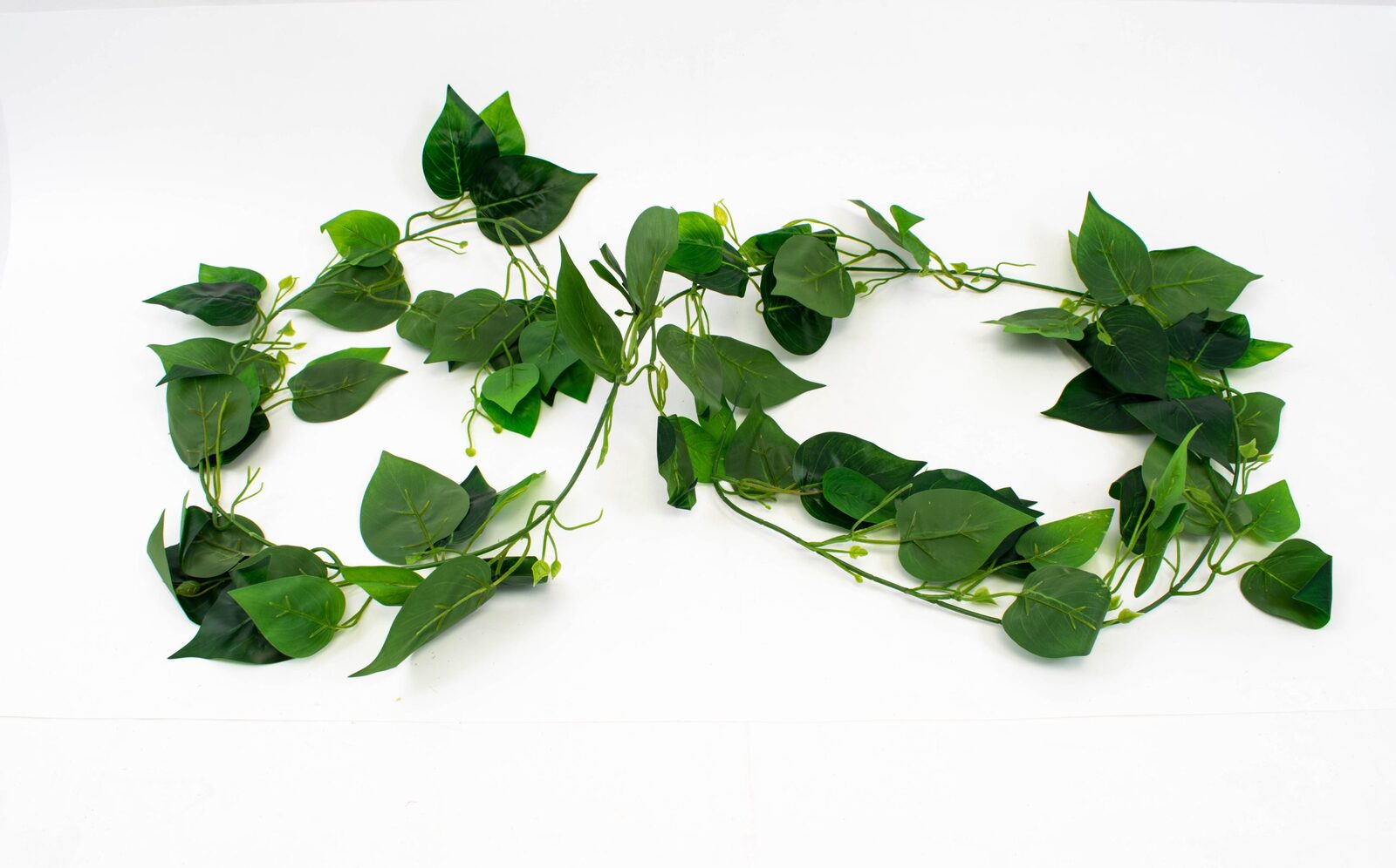 ghirlande-frunze-plop