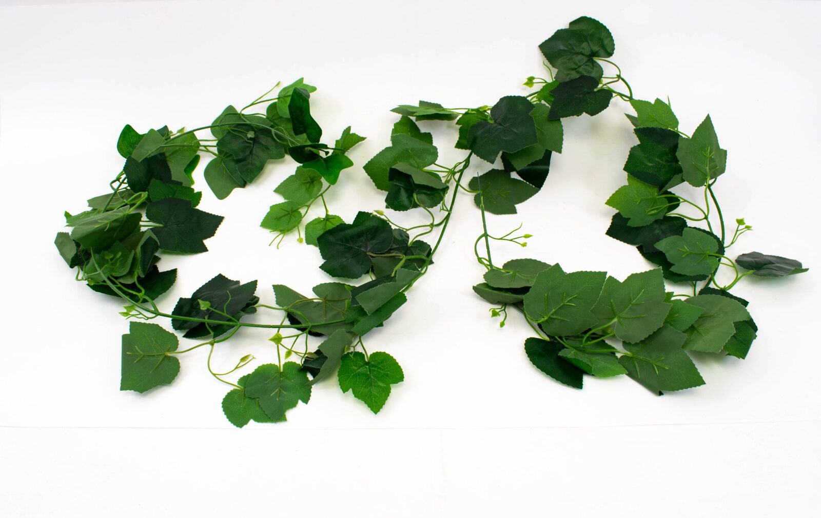 ghirlande-frunze-vita-de-vie