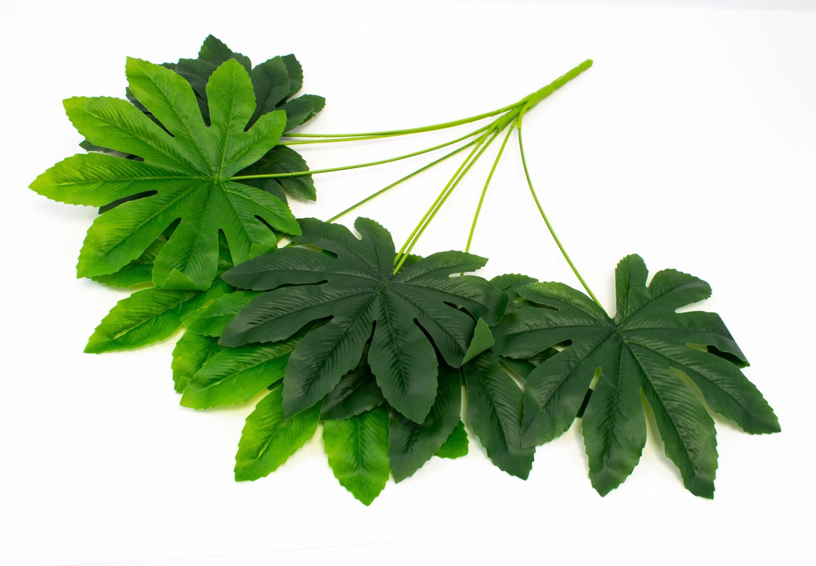 buchet-frunze-smochin-62cm