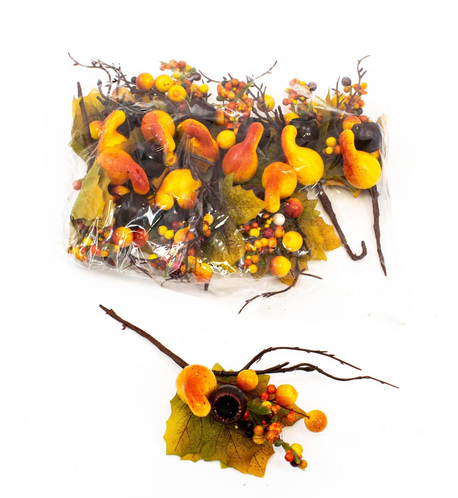 crengute-toamna-02-331-8