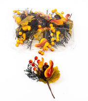 crengute-toamna-04-331-5