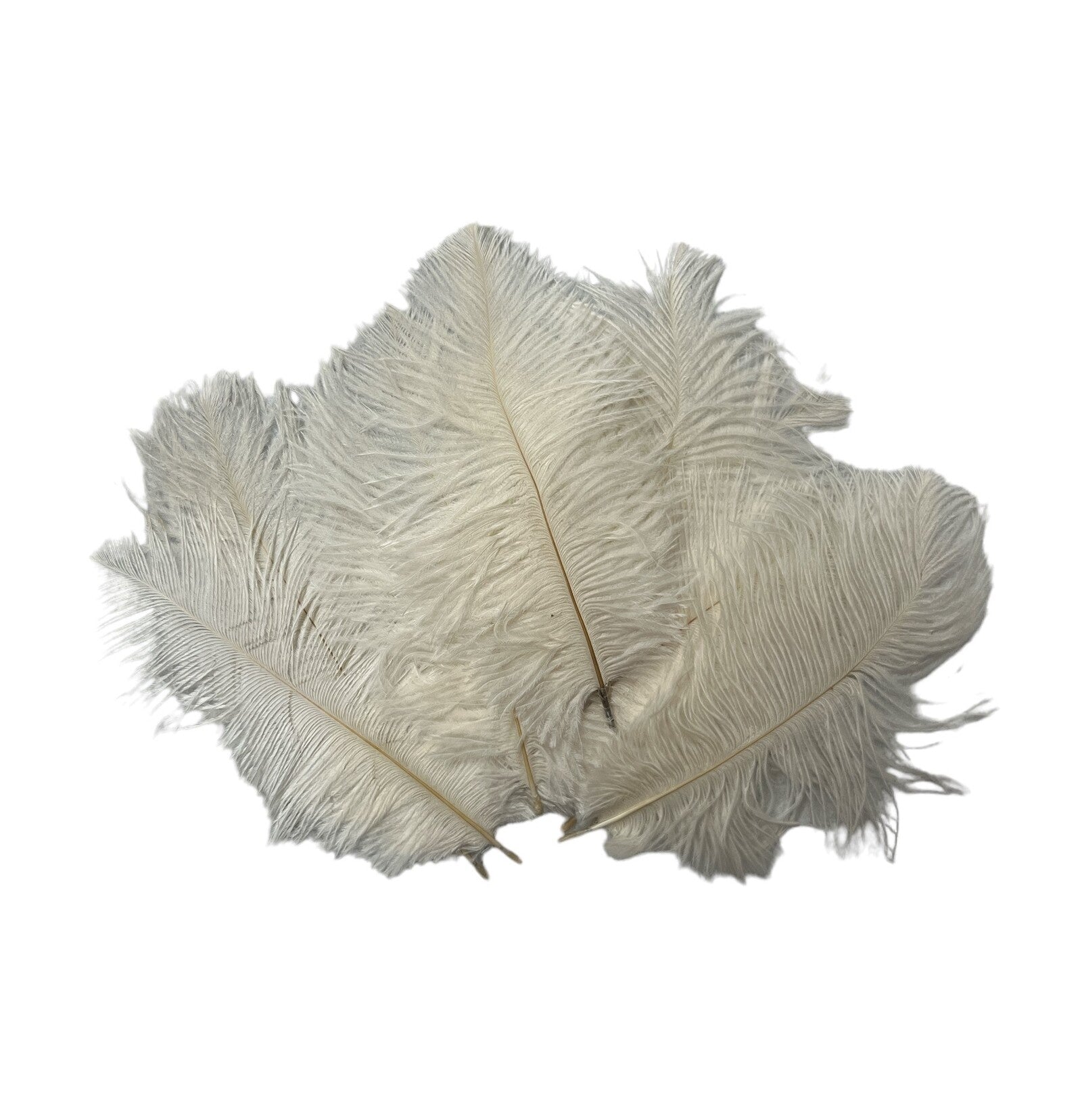 pene-de-strut-10set-15-20cm