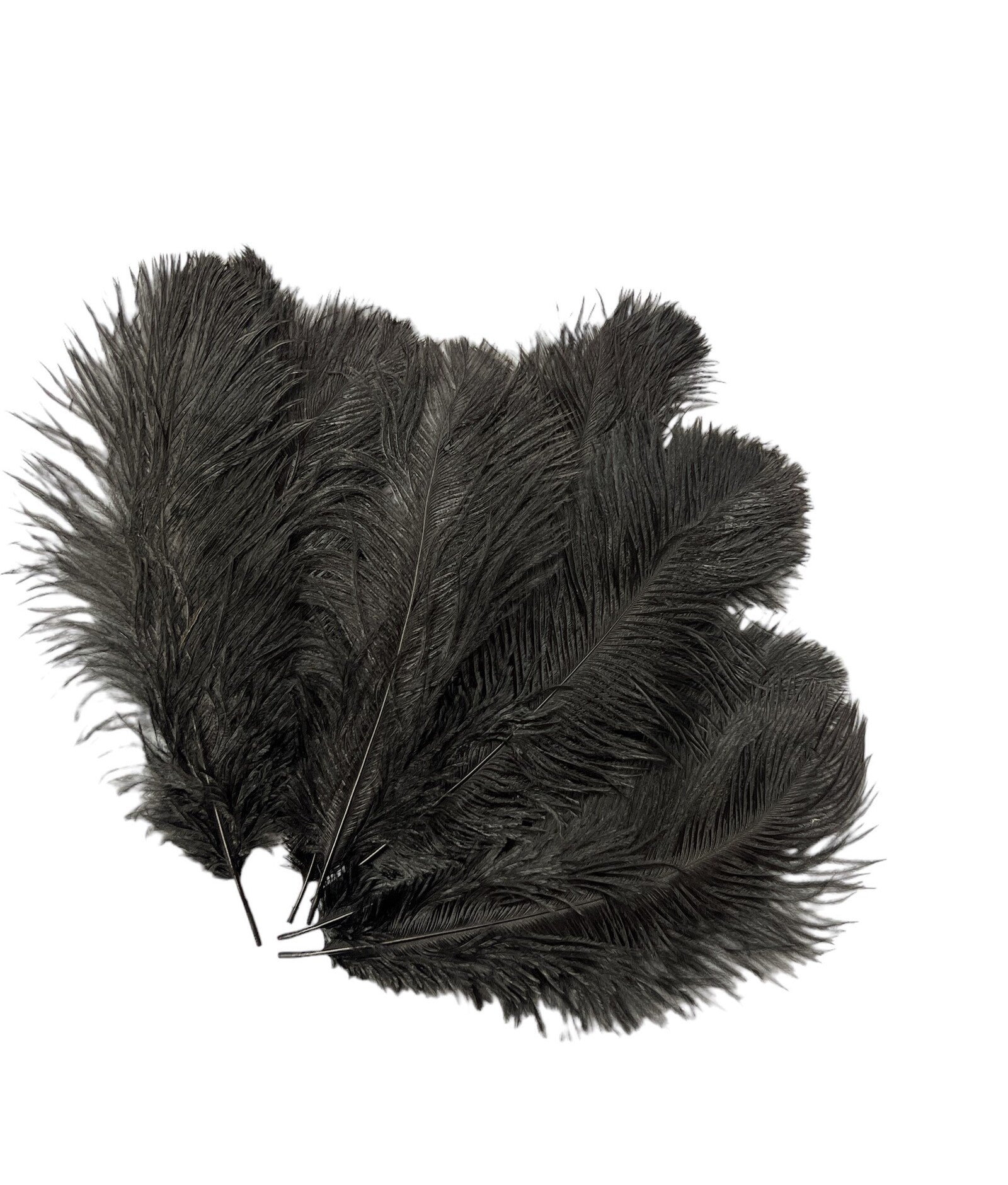 pene-de-strut-10set-15-20cm