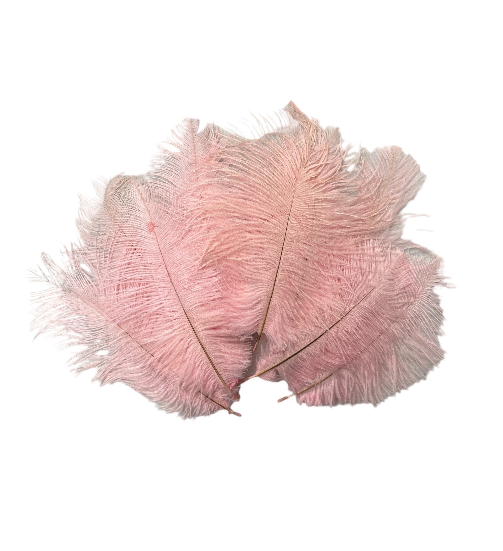 pene-de-strut-10set-15-20cm