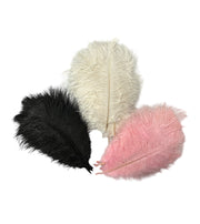 pene-de-strut-10set-15-20cm