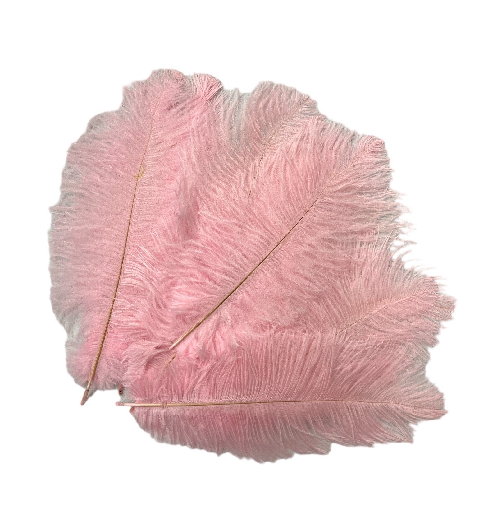 pene-de-strut-10set-25-30cm