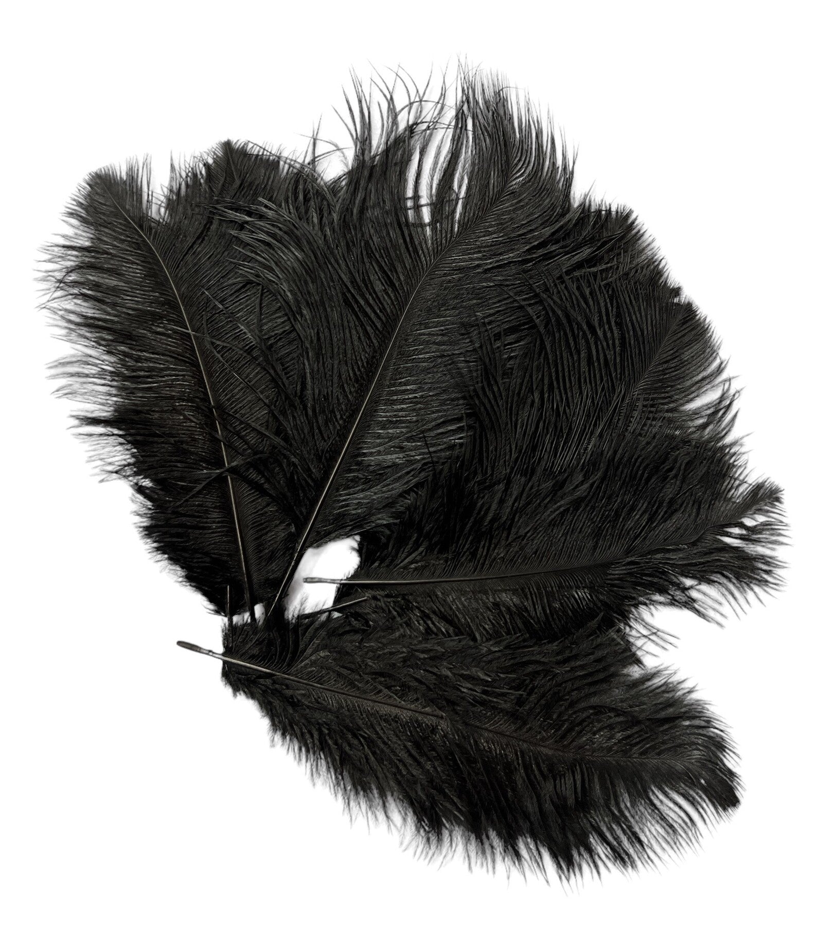 pene-de-strut-10set-25-30cm