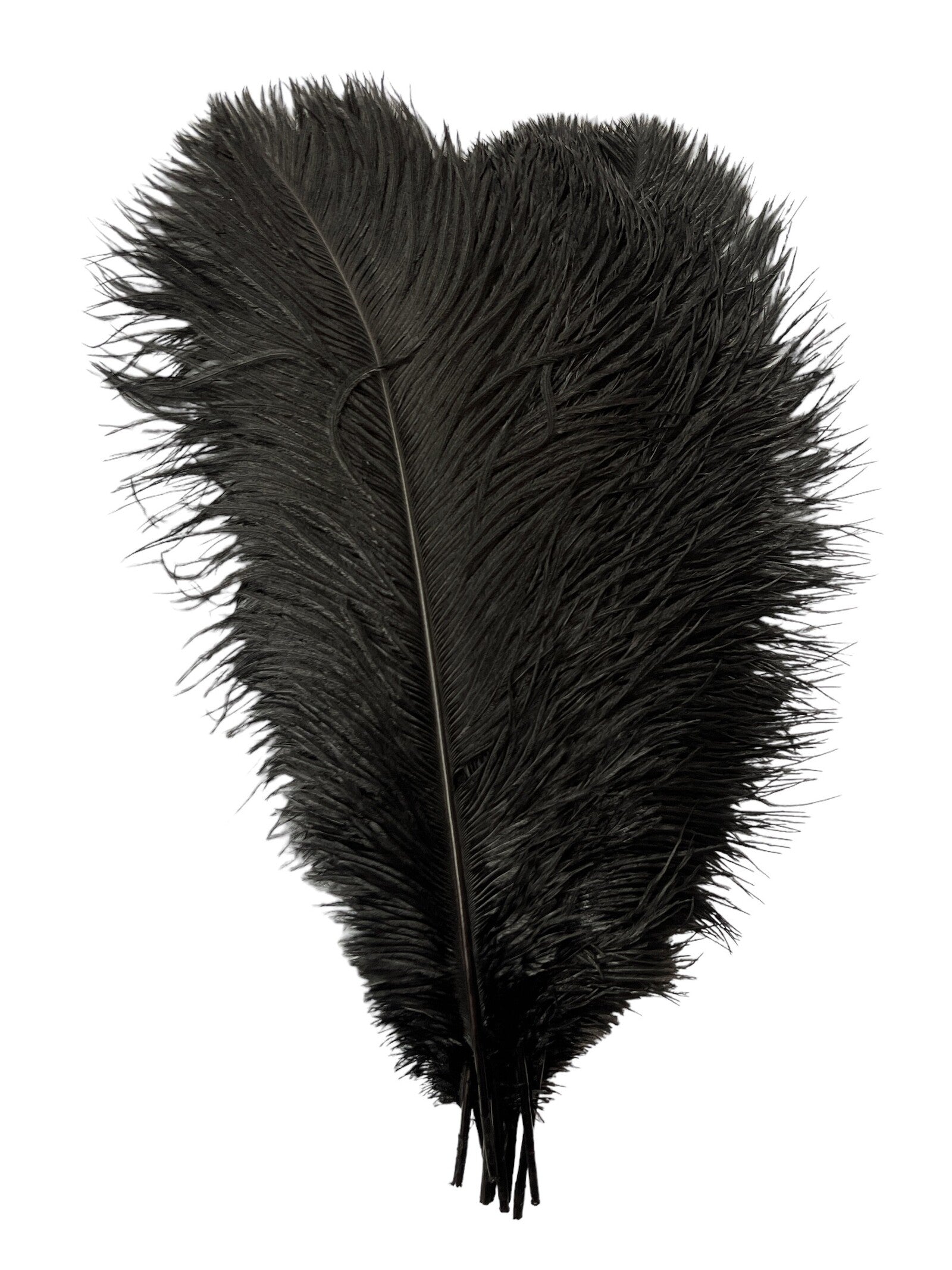 pene-de-strut-10set-40-45cm