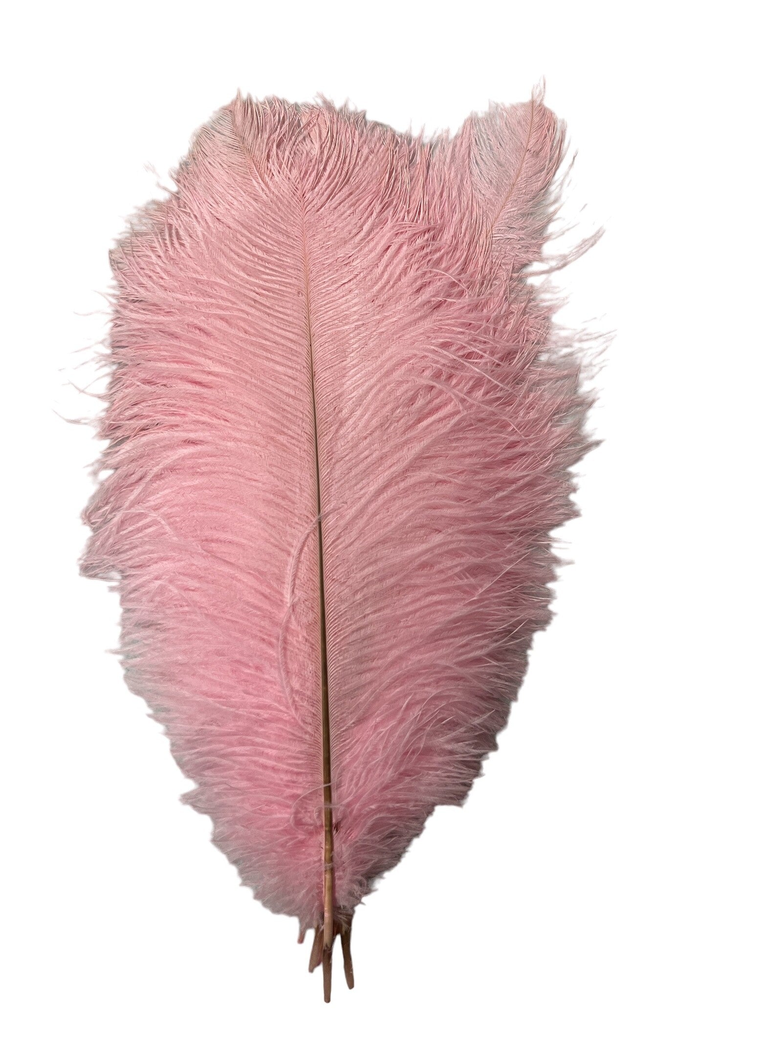 pene-de-strut-10set-40-45cm