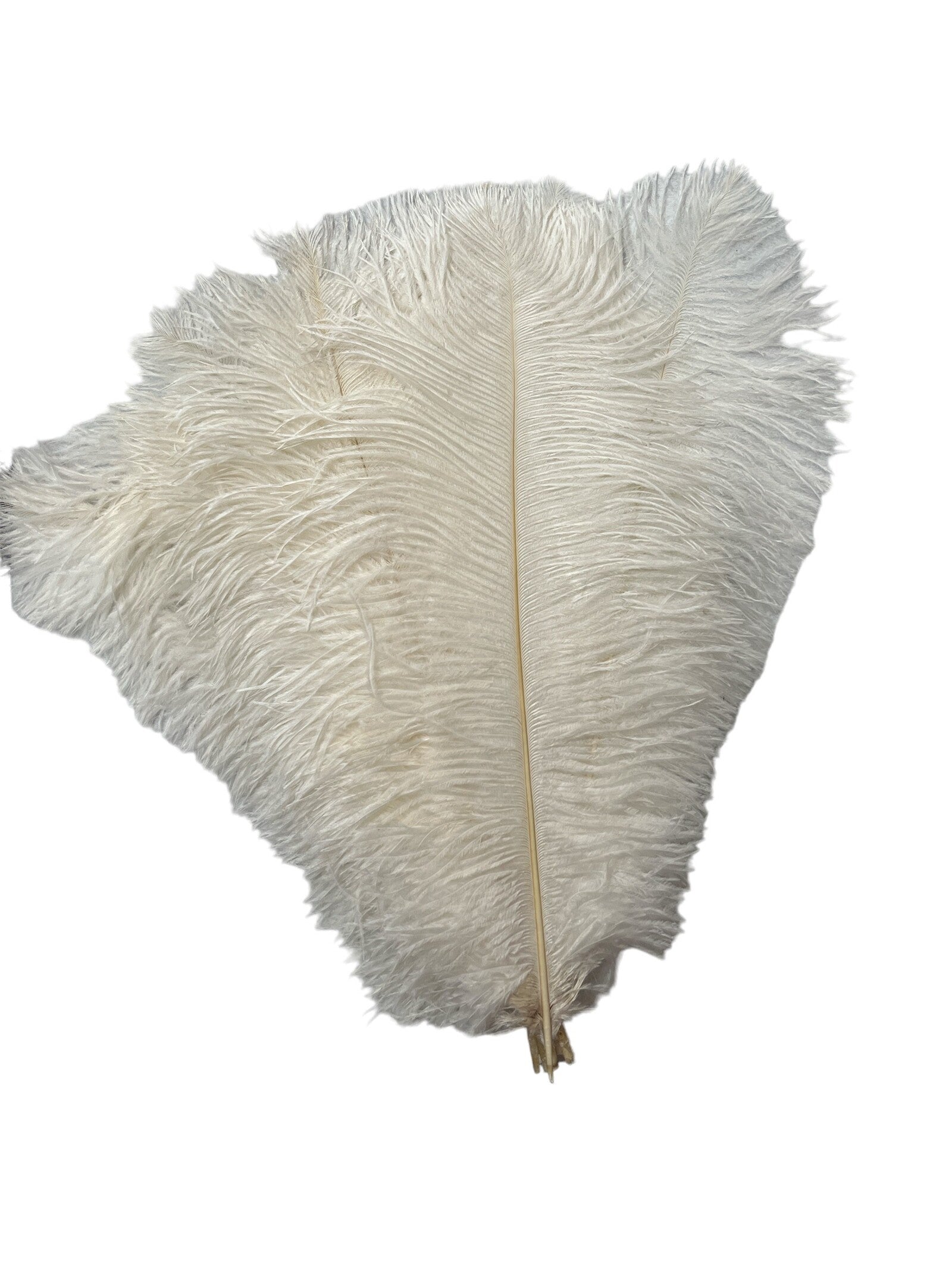 pene-de-strut-10set-40-45cm