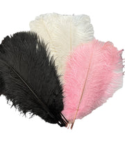 pene-de-strut-10set-40-45cm