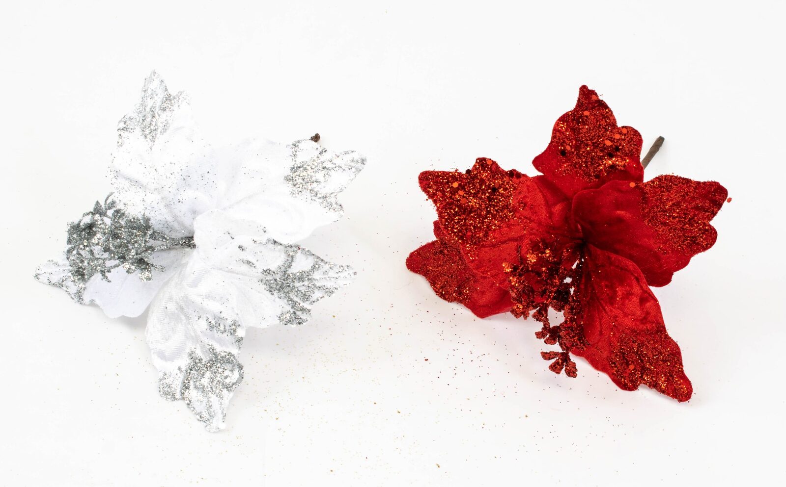 floarea-craciunului-10set-331-14